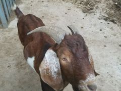 -酷鱼垂钓CLUB(朝阳区博大路店 )