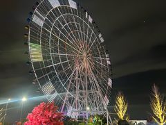 -南昌之星摩天轮