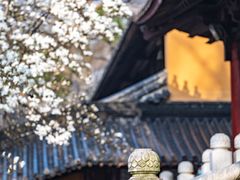 -灵谷景区
