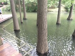 -采石矶景区