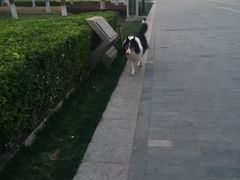 -宠颐生中康贝怡动物医院