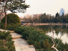 -团结湖公园