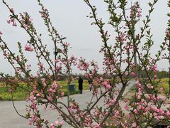 -嘉北郊野公园