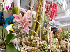 -FEI FEI FLOWER鲜花店·气球派对·宝宝宴布置(虹口德必运动Loft店)