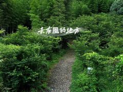 -午潮山国家森林公园