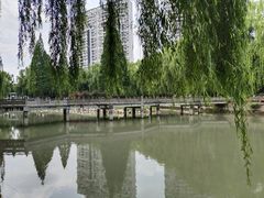 -温江公园