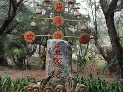 -北海金海湾红树林生态旅游区