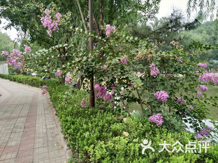 北京司马台云景山庄-图片-密云区酒店-大众点评网