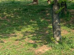 -宿豫区运河湾森林动物园