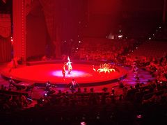 -珠海横琴长隆《卡卡虎奇遇记》