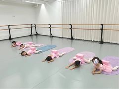 -中央芭蕾舞团·中芭艺蕾(酒仙桥明星校区)