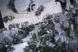 -保定金沙芝柏婚礼策划