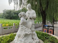 -莲花池公园