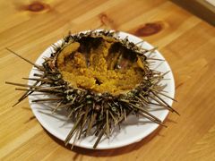 活海胆-海胆小馆(春柳店)