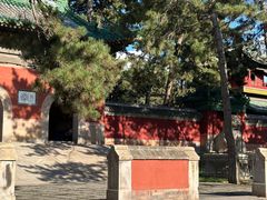 -普乐寺