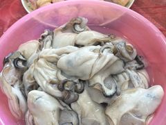 -蚝乡农庄(铁涌赤岸店)