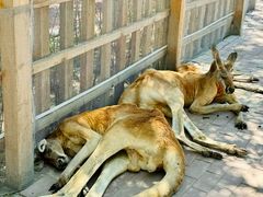 -水上乐园·欢乐世界