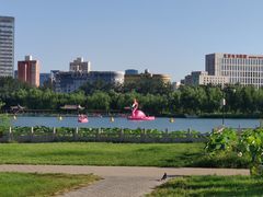 -莲花池公园