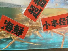-恭喜上堓砂锅焗·海鲜大排档(闵行龙湖店)