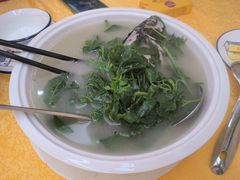 鲫鱼簕菜汤-东兴黄鳝饭店(江洲店)