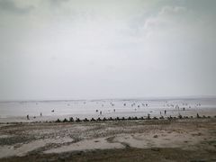 -南汇嘴观海公园