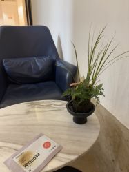 -上海薇琳医疗美容医院