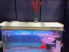 -梵SPA·影院足道·采耳(西藏北路店)