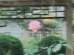 -国家图书馆·古籍馆