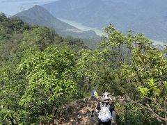 -羚羊峡古栈道森林公园