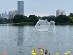-南宁南湖公园