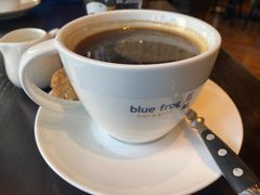-bluefrog蓝蛙(皇庭广场店)