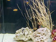 -沈阳海洋探索中心