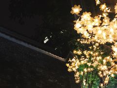 -THE PADDY FIELD田野西餐厅(禅城店)