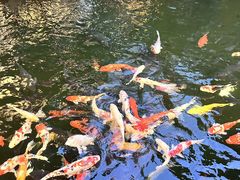 -新世纪大酒楼·30年南海菜