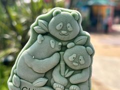 -广州长隆野生动物世界