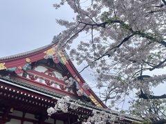 -浅草寺
