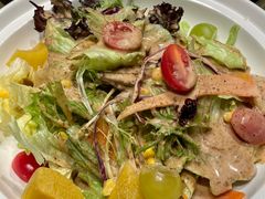 五彩果蔬沙拉-小船渔村•大连菜•大连焖鱼(黄河路店)