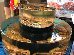 -蟹道乐(道顿堀本店)