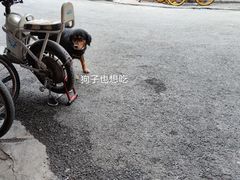 -凌舍好烧鹅(中山路店)