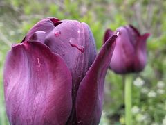 -长春公园(普阳街道)