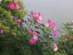 -白马涧龙池景区