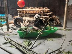 -东莞香市动物园