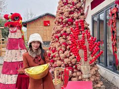 -HERRE·FARM 赫尔露营农场·团建聚会包场