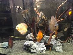 -质烤烤物·活烤海鲜(质烤总店)