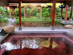 -天目湖御水温泉·度假酒店