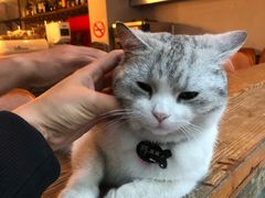 -LELECHA乐乐茶(新街口大洋店)