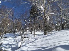 -雪谷