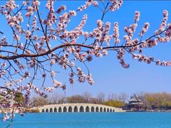-颐和园