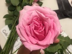 -ROSEONLY诺誓(磐基中心店)