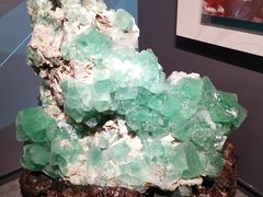 -湖南省地质博物馆